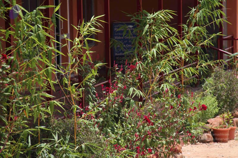 File:20110921 Photo 1184 1DoJc9ag8fQO Y-2cXUOJLlcZzWDXE6Nn.JPG