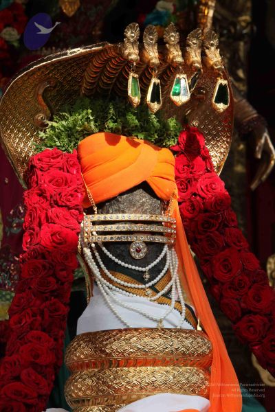 File:20110926 Photo 1015 1KcMKtmFYzWvL9ylu9FgAEbTx7KmsIyyO.JPG