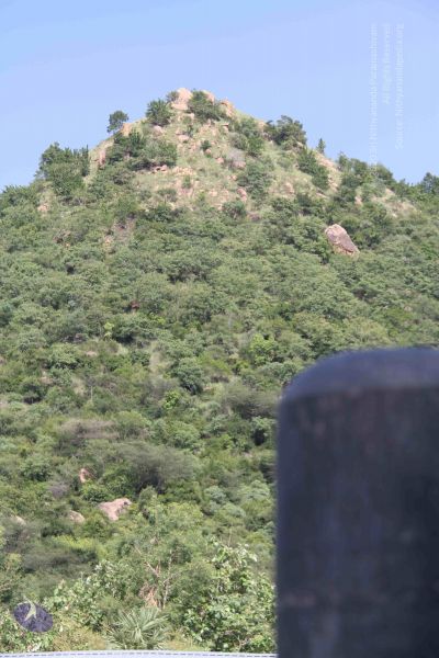 File:20110926 Photo 1048 1q9W9kGLqBdRW0o9W57PoqnF1ZPHHhgJs.JPG