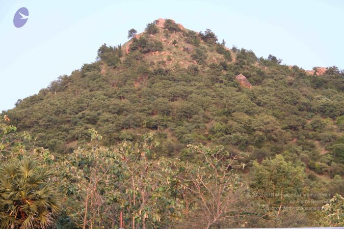 20110926 Photo 1079 1Hswny01EaJgm6NxSnYl7oa5xCVGLJDFk.JPG