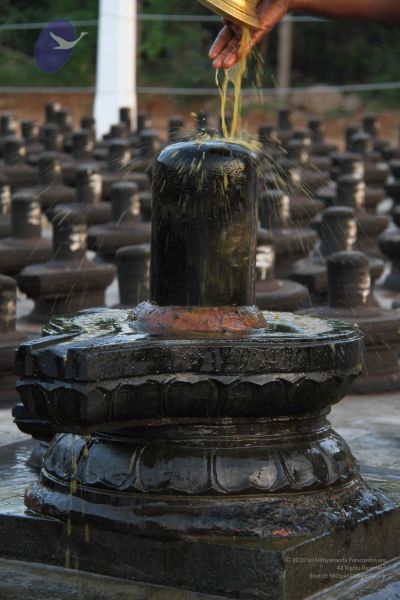 File:20110926 Photo 1093 1IJoVwTYnW3 dx0KB8ci Hhi-QzUDF9w2.JPG