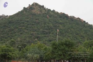 20110926 Photo 1102 1Q xMz84R5Xt3Nw5RtssQpnRIvy54MX51.JPG