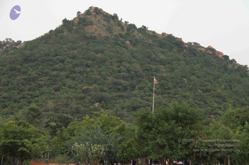 File:20110926 Photo 1102 1Q xMz84R5Xt3Nw5RtssQpnRIvy54MX51.JPG