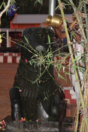 20110926 Photo 1115 134kw0CRTNnutIUYOtpZWlB53VJDaIJ5F.JPG