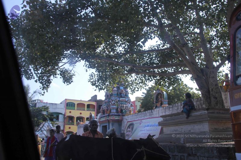 File:20110926 Photo 1178 1iCuPSftOYc8FYbIADm5ycE552KRH126P.JPG