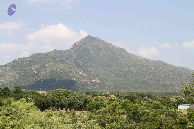 File:20110926 Photo 1198 14M2IQ-rdfw4mI2F4 04y90j3n2JXWTN3.JPG