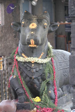 20110926 Photo 1213 1IrcyarF0Qd84m4zQ6fkDD2NcmfaL1Zf7.JPG