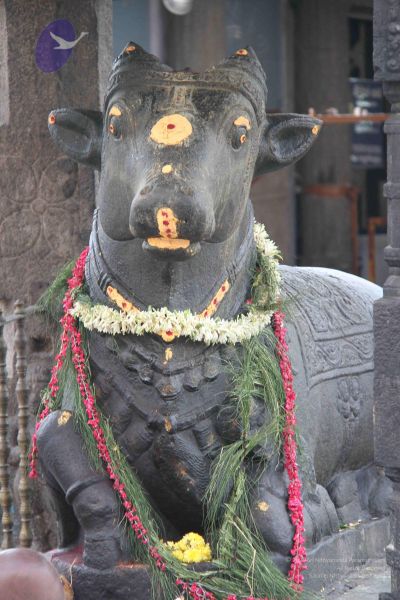 File:20110926 Photo 1214 1uiSfhHy1zSEQ0aLWcx1njHTJqoaOaHIM.JPG