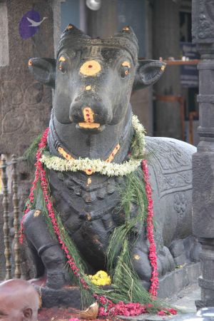 20110926 Photo 1215 1rcCIPUkjcaWioHYBcqZZQLqjIohYtCYw.JPG