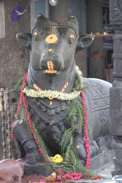 File:20110926 Photo 1215 1rcCIPUkjcaWioHYBcqZZQLqjIohYtCYw.JPG