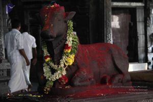 20110926 Photo 1220 15nFvEEek5mPkxJndz1LDDmxO3TuFrdea.JPG