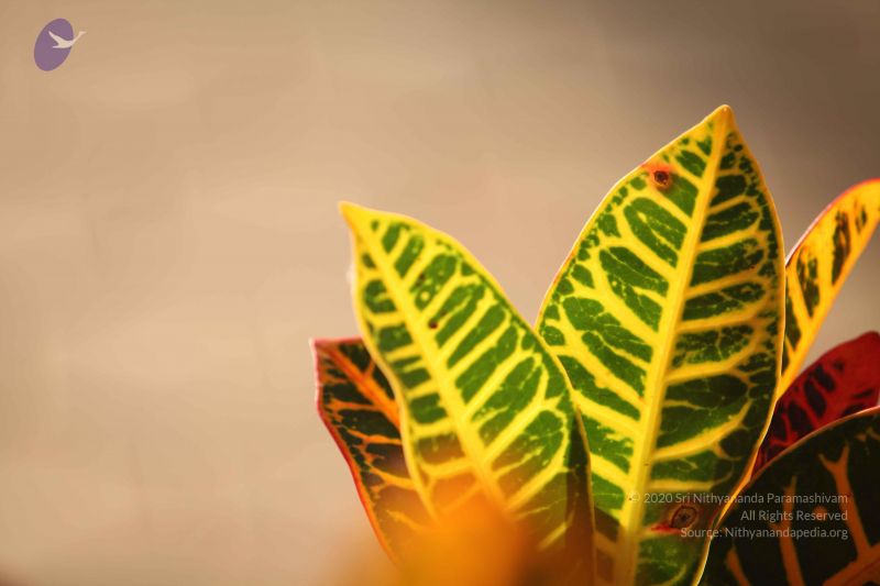 File:20110927 Photo 1089 1PYKsD5LunsQJK185ZNe-pLnYZRMrybBA.JPG