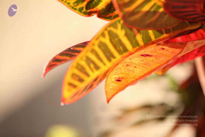 20110927 Photo 1097 1P26vAcmIbED88Sc9ESTfr0QzqYGXalLk.JPG