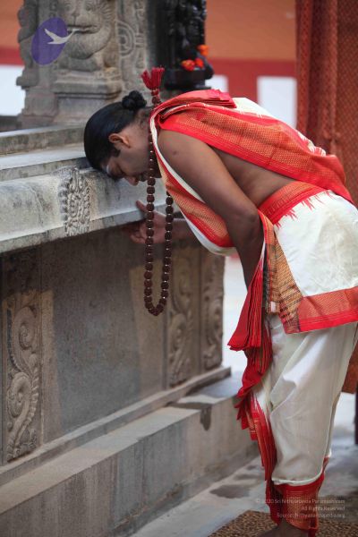 File:20110930 Photo 1009 1WaN8nR8OIxuawplKiPkZ7f1cHvhGaTgb.JPG