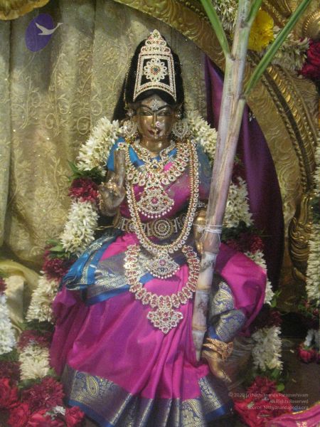 File:20110930 Photo 1074 1qT-VzPxAfAcDFpIcFfJQMnAFeOwOf 6r.JPG