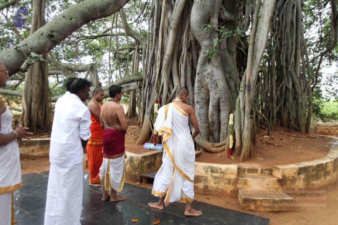 20111001 Photo 1033 1gLXLDVPlZov990Q6jwsFD2RkGdqghCIk.JPG