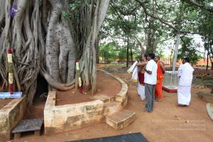 20111001 Photo 1034 1OWSKvVJ-3qRaLNKyY4RdYdFC2Z46zUba.JPG