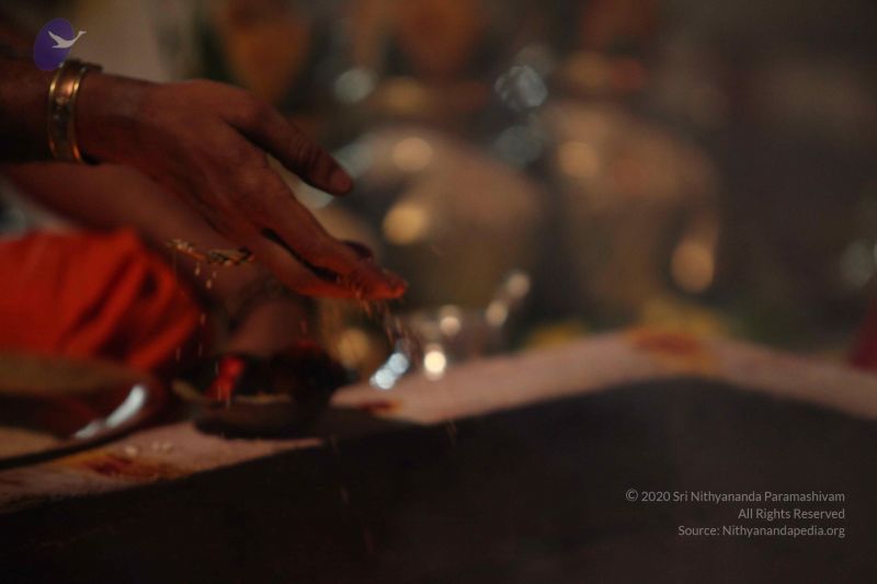 File:20111001 Photo 1157 10WhJjv55bwQEI3L4-zwuGp0JyWO-W73I.JPG