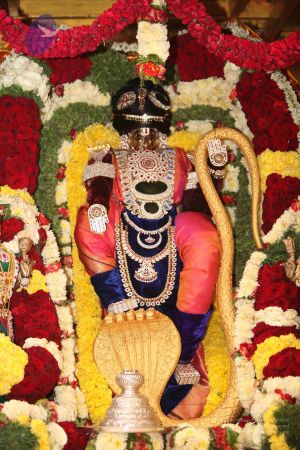 20111001 Photo 1278 1l-UfGh4v7gtomkIOGGPkBxaTV-g3pWjM.JPG