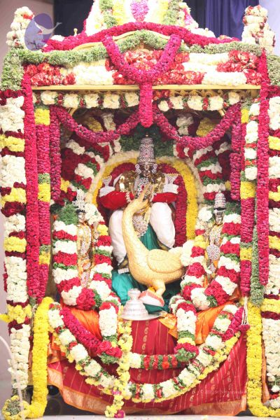 File:20111002 Photo 1002 12RjhTSaUS-6jPG4gR 6As 03wW1kV3Z7.JPG