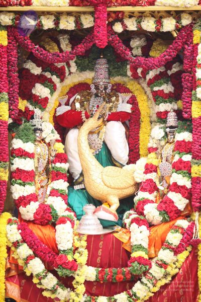 File:20111002 Photo 1004 1XC6jyzkg LPQJtklfzszzNgnehtzRmgj.JPG