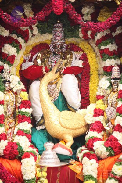 File:20111002 Photo 1006 1Z3L9VLy-yIHPvDCVCSow0jddxL41Fjft.JPG