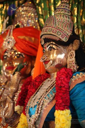 20111002 Photo 1012 1MyXU5pWq1gjcOIjJD wwjcEuW9eAtg2q.JPG