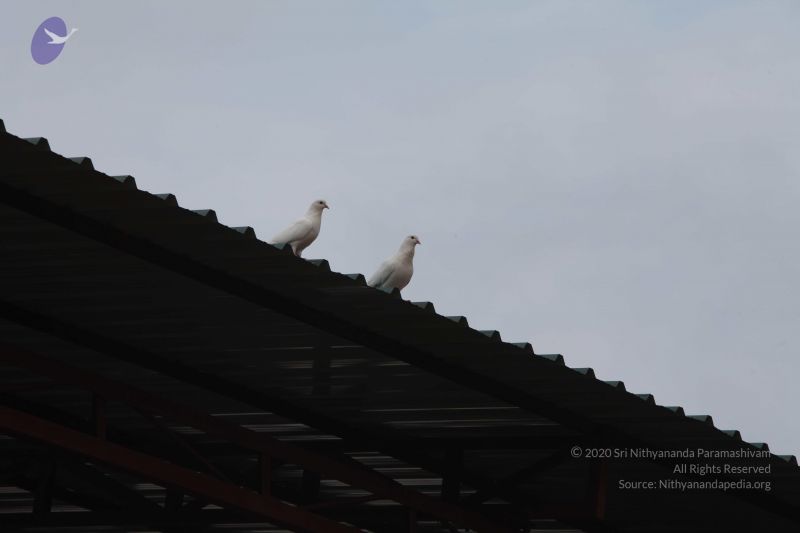 File:20111002 Photo 1033 1puORfLWbn6hXK2XeUPIpZL319OtfGmEk.JPG