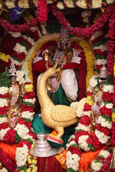 File:20111002 Photo 1035 1Y9Q4jMfkvqUyOAFoLe7RGfA-ZT-GBL5Q.JPG