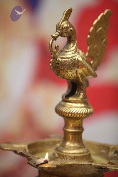 File:20111002 Photo 1059 1ffoAc4sUkMoqmq5qzg0ez3f9Jo cUvm8.JPG