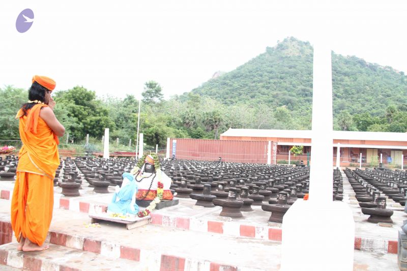 File:20111002 Photo 1122 16SaPMddwUUTVLV-WLApED5KR9BTS7e o.JPG