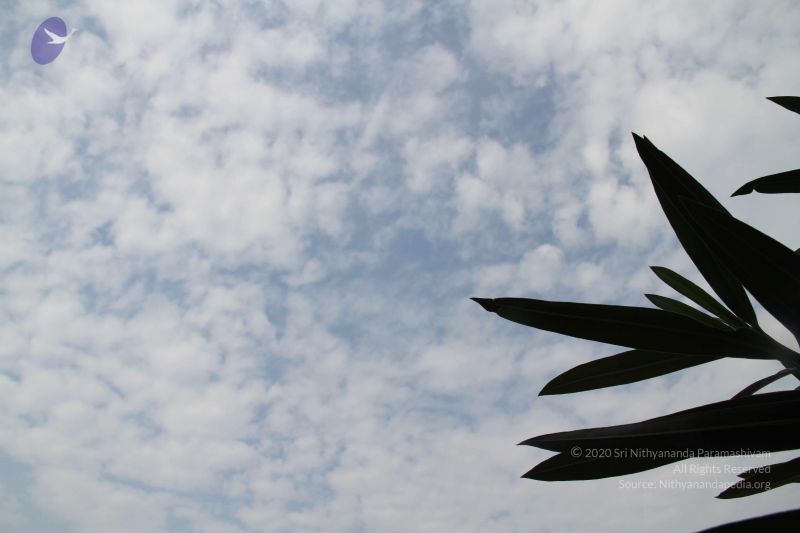 File:20111002 Photo 1181 1nuM-EL5A3XgffMjlmvpHksnHPF59j1y8.JPG