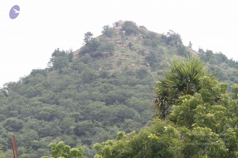 File:20111002 Photo 1182 1MybGEHpAIV2RmIXpfyqdc4b1r3L0yfmD.JPG