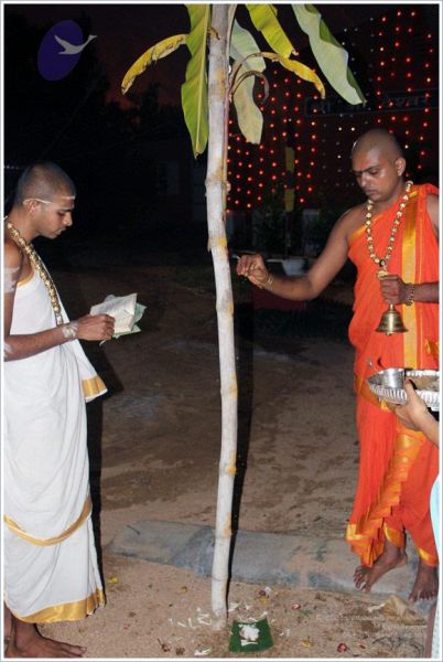 File:20111003 Photo 1151 1x-cUh-V3QyFWqBKYW0b2Jw8Jg6IEm4e8.JPG