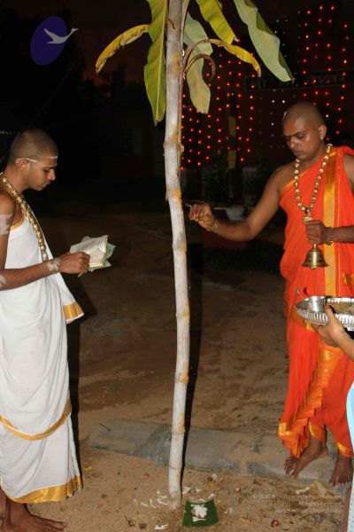 File:20111003 Photo 1172 1C1xuNe73lzkoXaQQAlMAHHo5ABcxxDMj.JPG