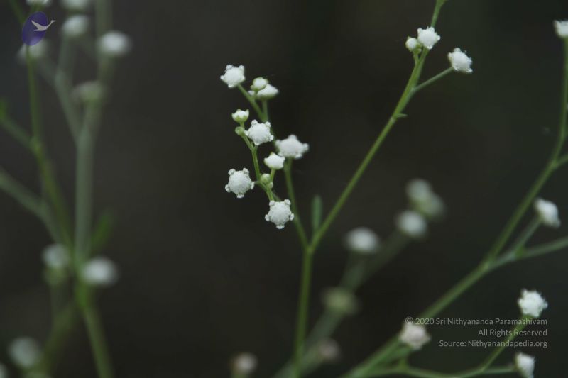 File:20111003 Photo 1303 1lnzhuO9HA4Fub7xFa5qrYctQLnFTff5q.JPG