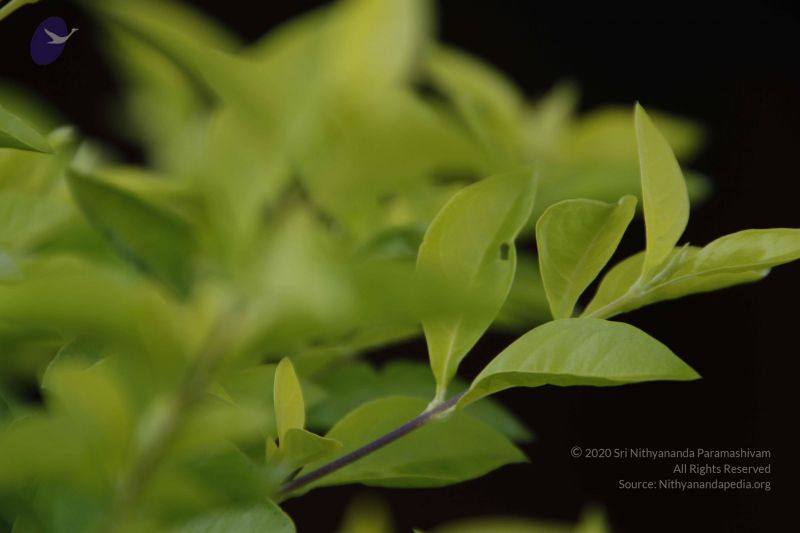 File:20111003 Photo 1309 10Z8XNH6 R8Fv2bKPZimOayeLuNQ8GNdf.JPG