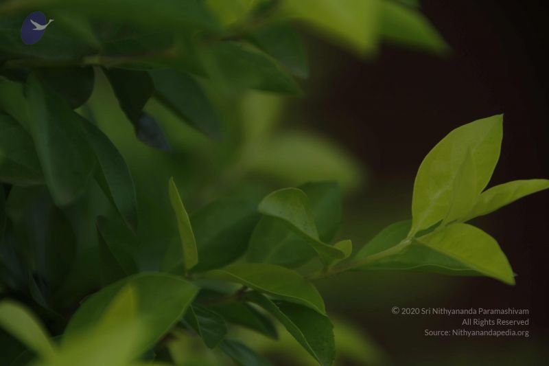 File:20111003 Photo 1310 1gfs2pVUB9ZXitJfy- rGLlgIMyCRtEyf.JPG