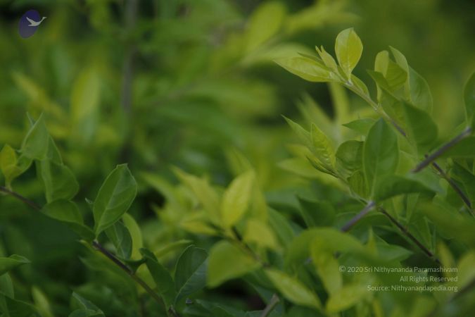 20111003 Photo 1311 1-aKMBDKQOQtbGc0q9ci9lcA8t5-qJMGu.JPG