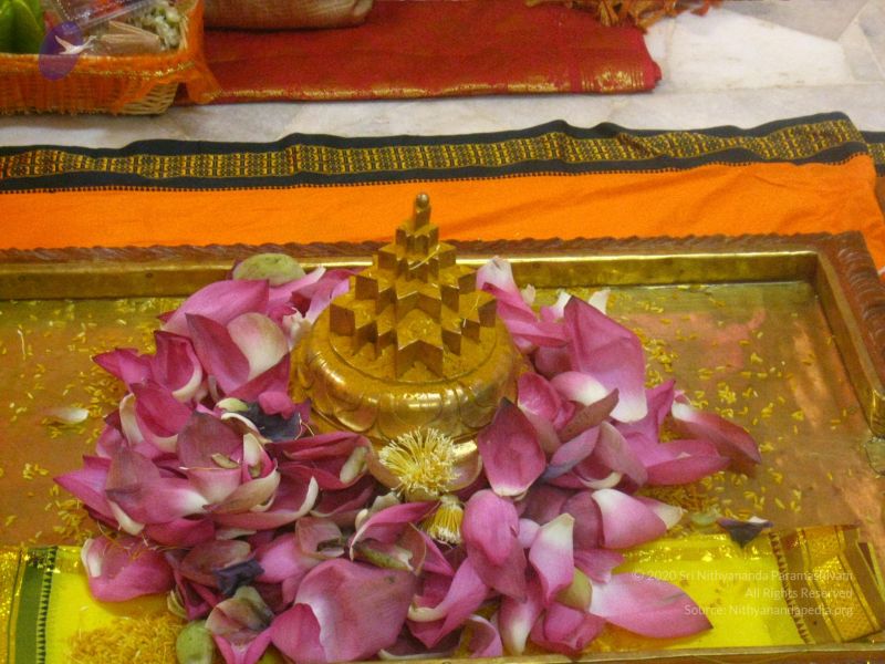 File:20111003 Photo 1314 1LJAntyiQcY44Bby-kZ87EZKnOBHvtVLC.JPG