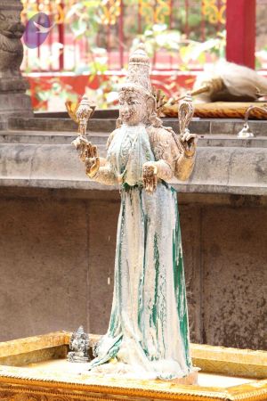 20111006 Photo 1186 1-TRcd9XCbWedpIa9W6oBHbVfuwAM8Ynl.JPG