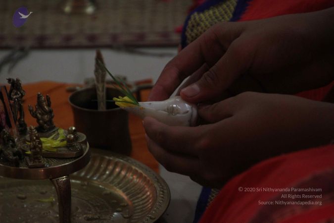 20111009 Photo 1012 1sqgqycM3W5nS-gbraeDK8lLNEMO LXrW.JPG