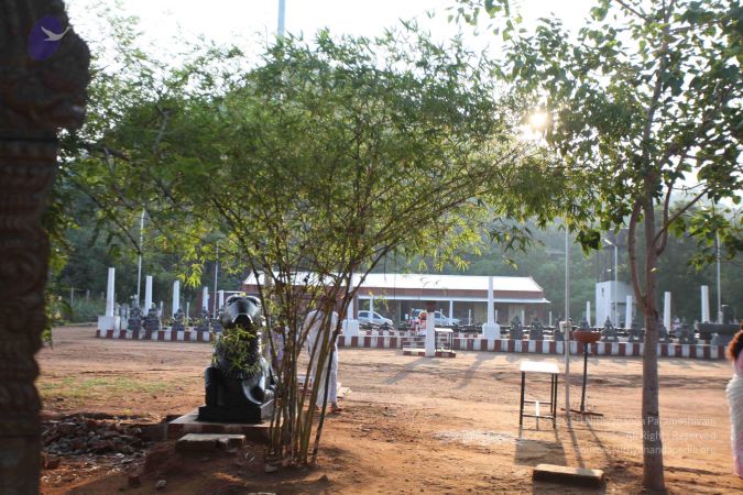 20111009 Photo 1042 1YPMk t8jlZ6C6xTw6e0j7pyKINLV8cPP.JPG