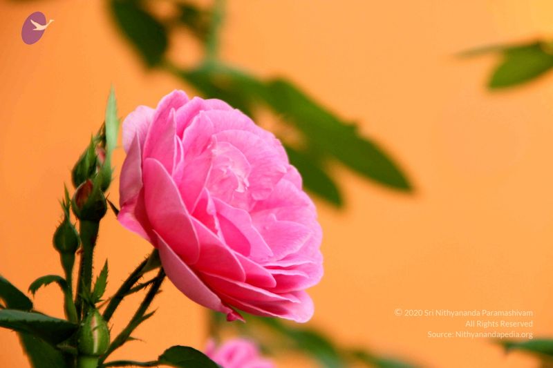 File:20111009 Photo 1067 17WH1Fdpua7talXQTnsf- ynzKdqLJJX-.JPG
