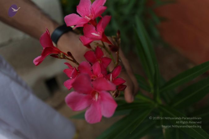 20111009 Photo 1071 1C5Uso4rUaVA3JjKC1fVqG6MFFrzQPXgj.JPG