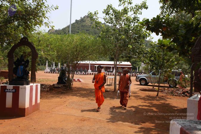 20111009 Photo 1072 1QyGdIc~Kp5OsGVT1j1Ov9dd4pq WuwF.JPG