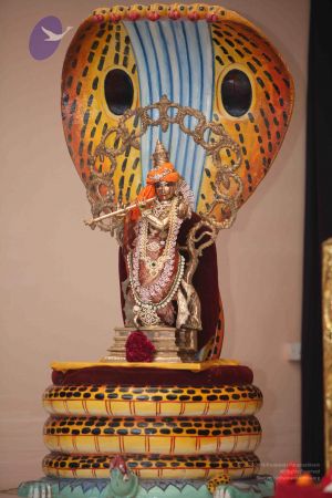 20111010 Photo 1098 1NbwG9hM1i1hvMnAPVo8A8sa98pd4Lefu.JPG