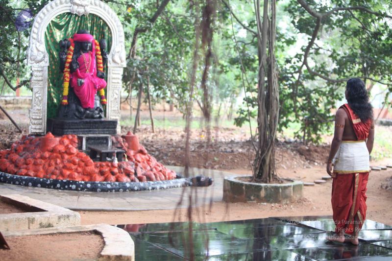 File:20111015 Photo 1025 1pGPhVem6i78NxXtPdS0jTdwv7c4Ni kj.JPG