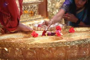 20111015 Photo 1061 1H6kduzD67P30F7gpN7eAmNVdxarxJ9Vn.JPG