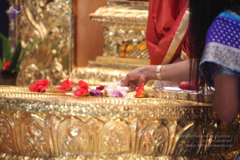 File:20111015 Photo 1062 11OGxTH0zDokev1QDl4QXWXnv5mFSEIko.JPG